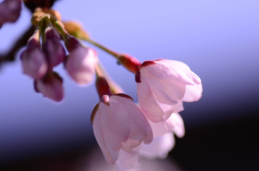 目覚め