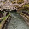 一陣の疾風（かぜ)