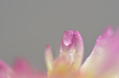 春の光