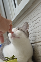 ごあいさつ