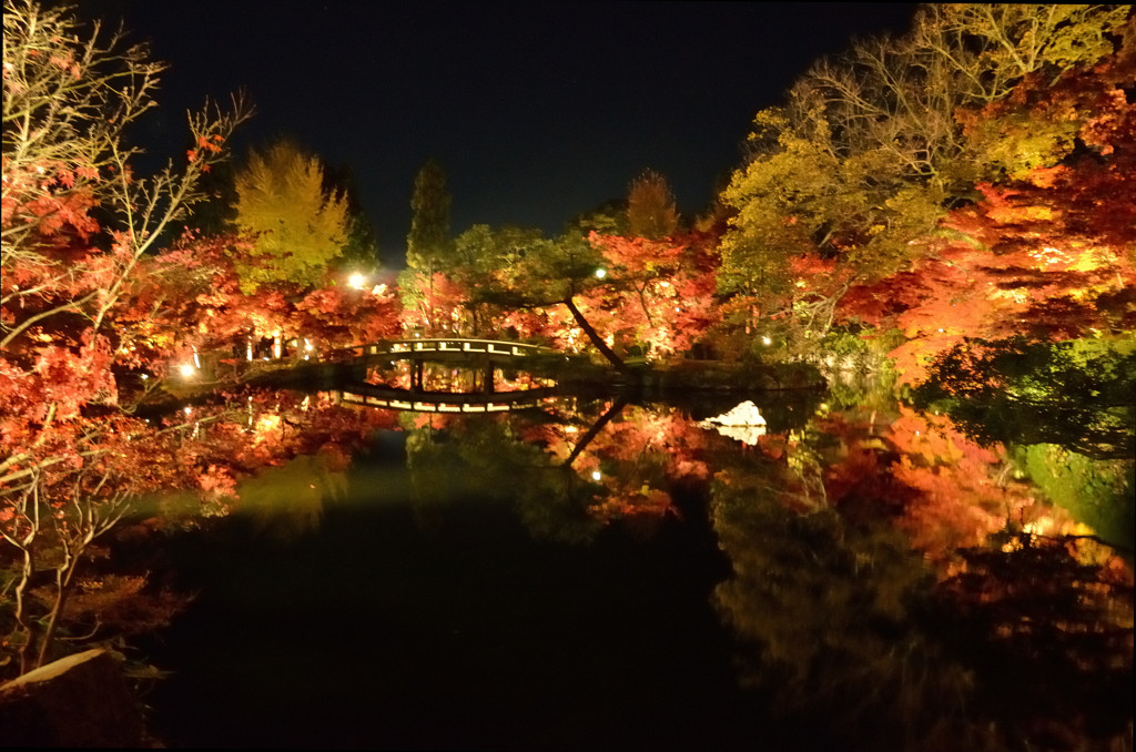 浄土の一夜2014