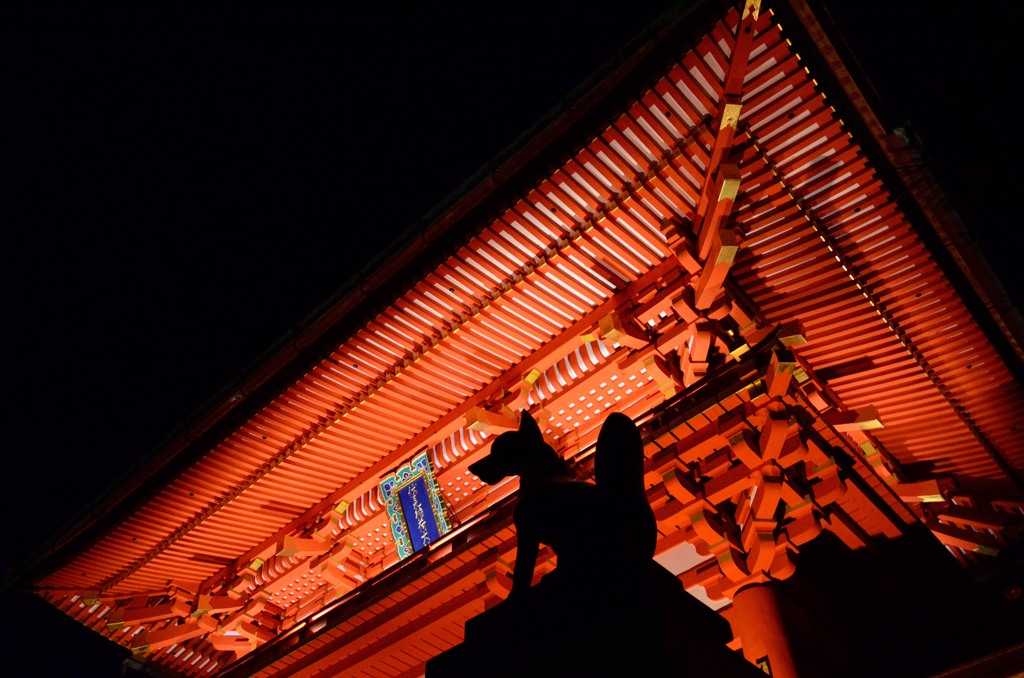 こーーん♪