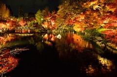 浄土の一夜