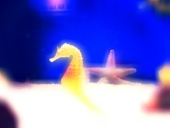 ドリームドラゴン