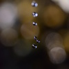 穿つ