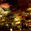 京都繚乱