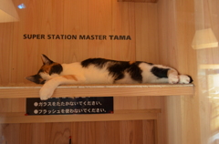 たま駅長～(☆∀☆)