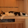 たま駅長～(☆∀☆)