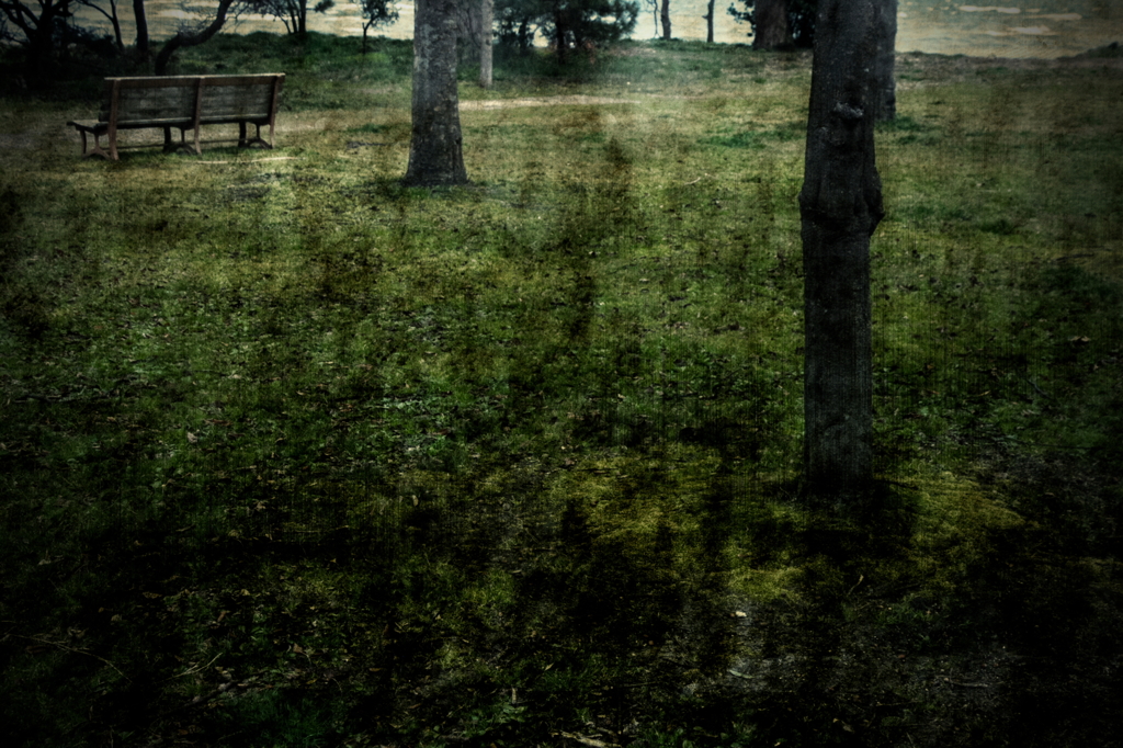 Wilderness