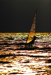 Voyage