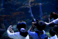 水族館