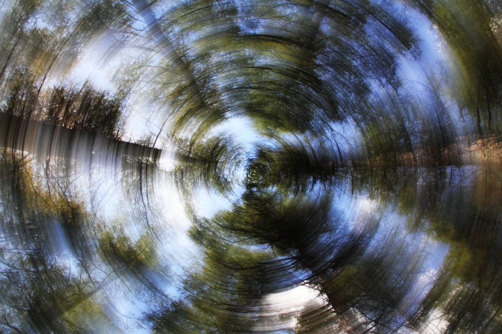 Rolling tree