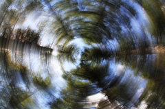 Rolling tree