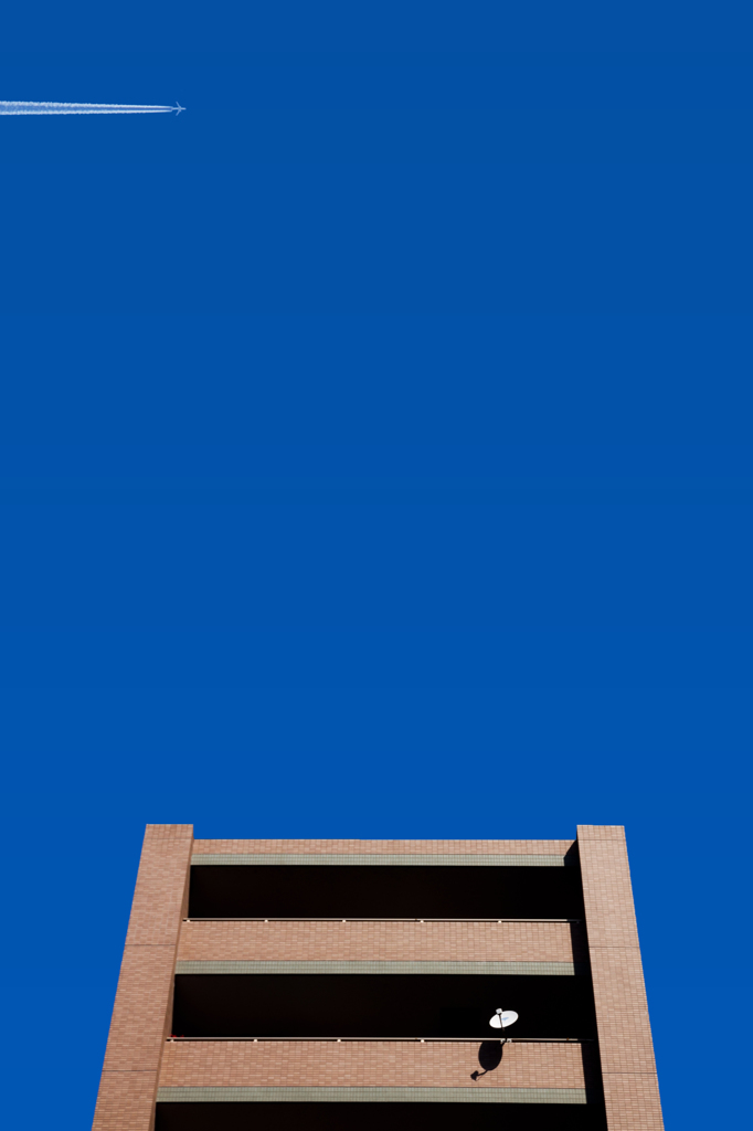青空 × Signal