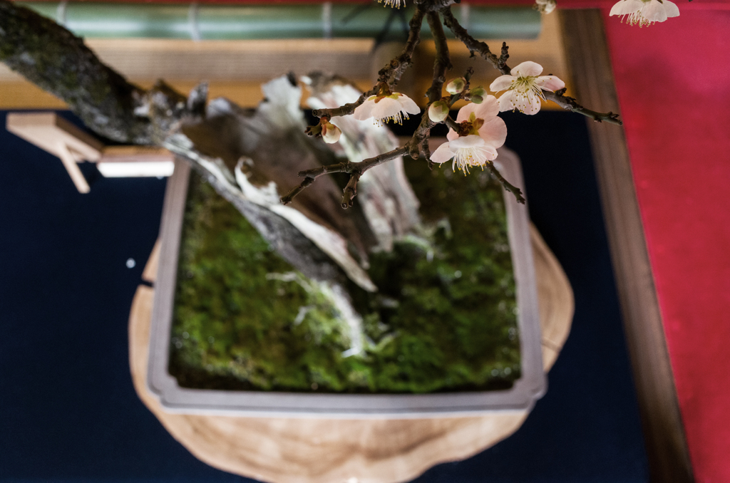 陽気