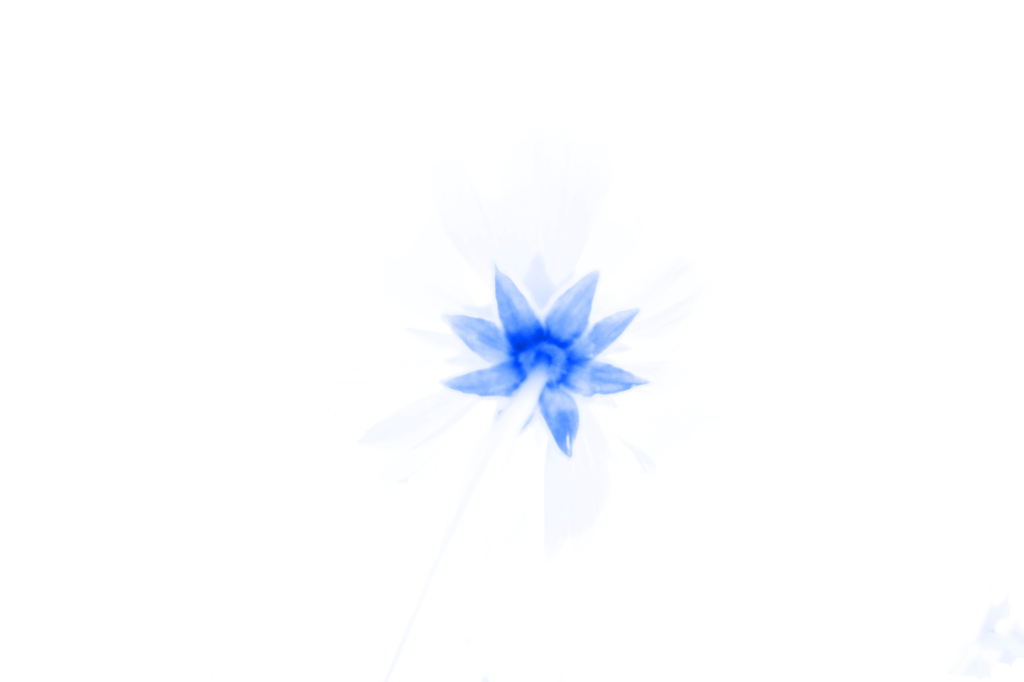 whiteblue