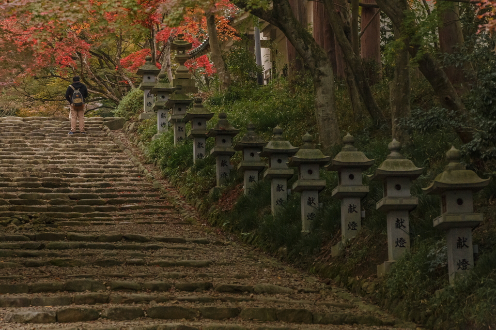 SHIGA