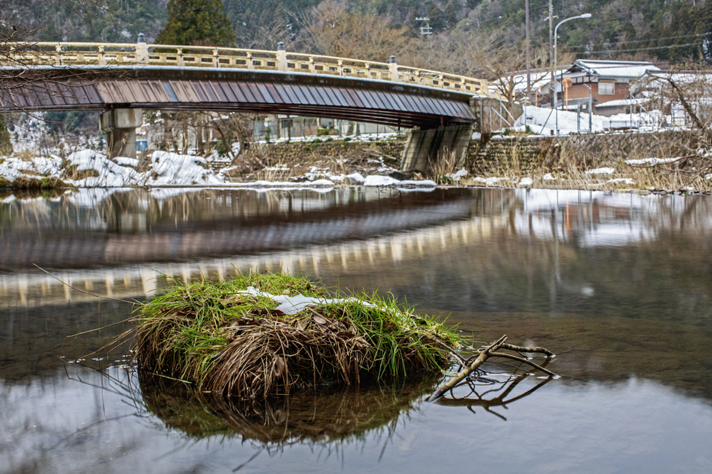 SHIGA