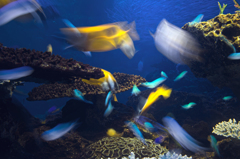 水族館
