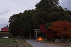 Autumn