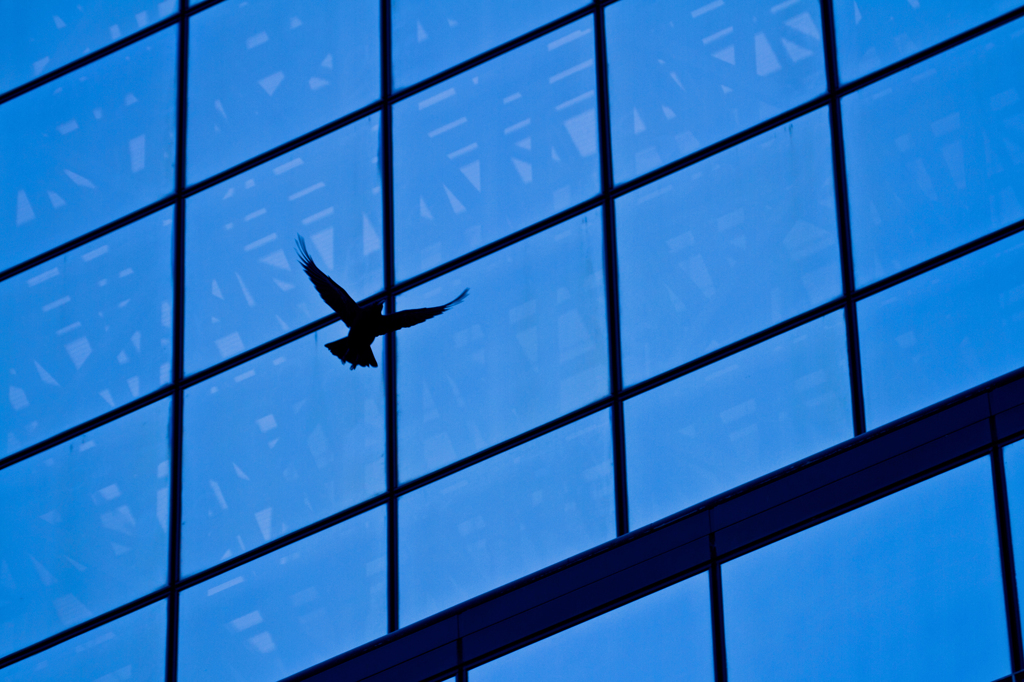 in the sky ...