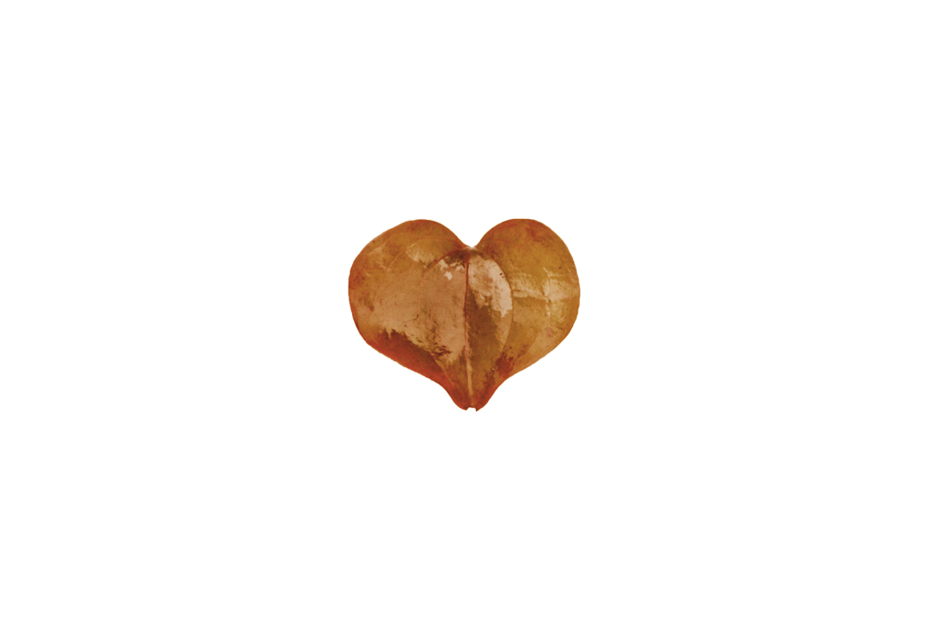 heartful