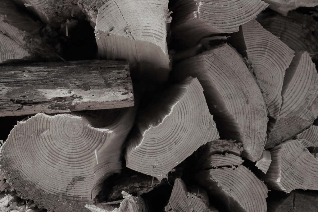 randomwood