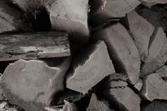 randomwood