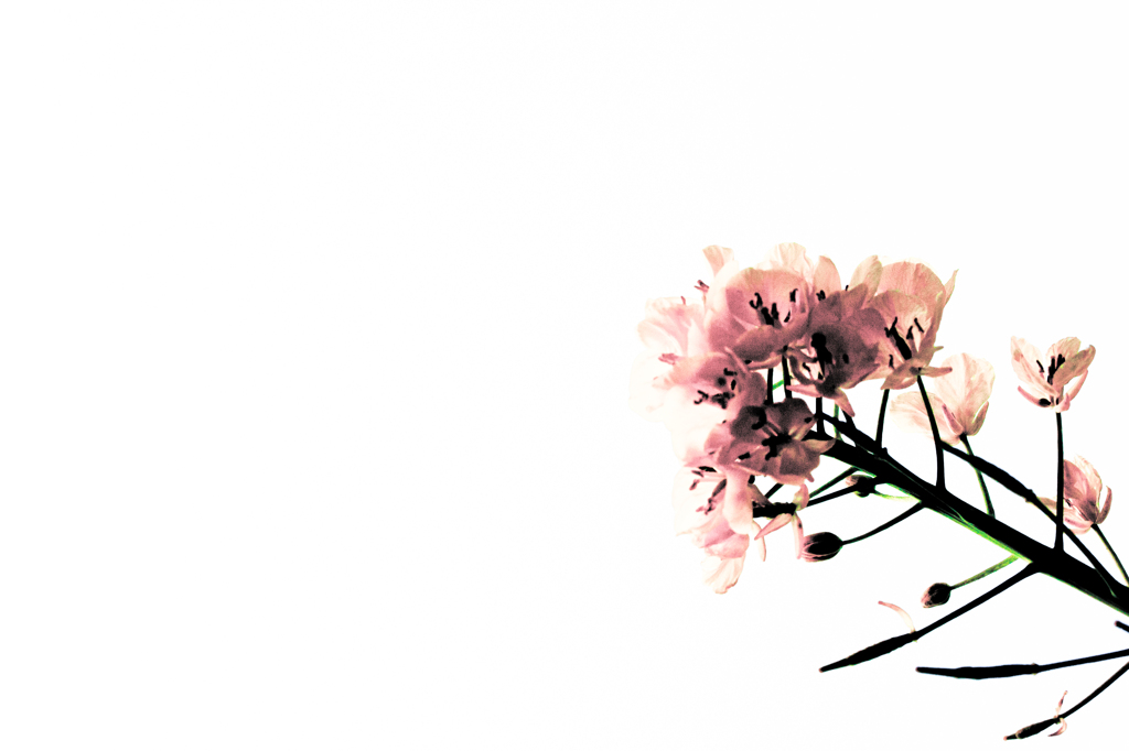 Oneself