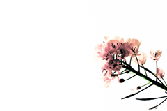 Oneself