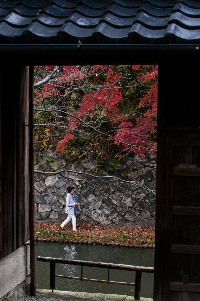 November