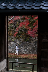 November