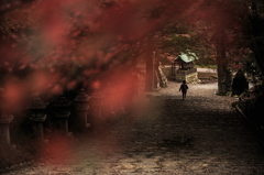 散歩道