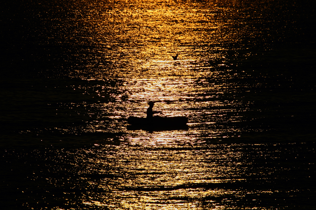 sea gold