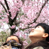 見上げれば、笑み