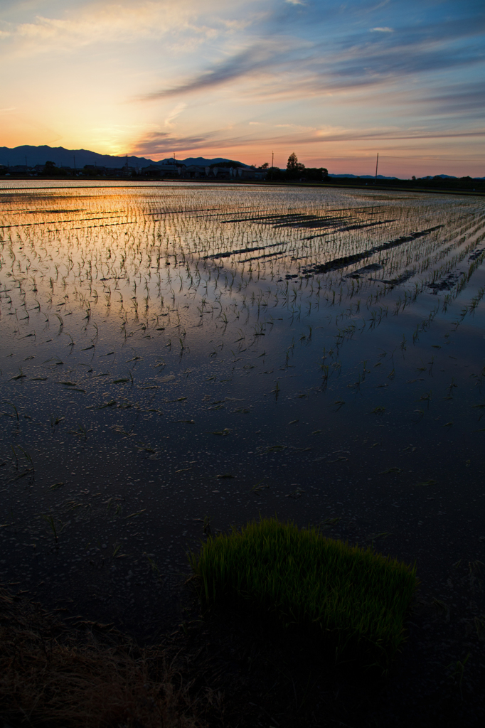 残