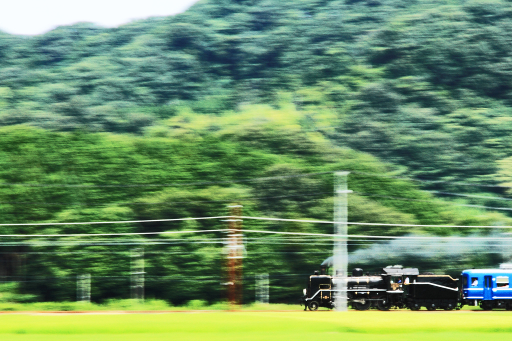 駆