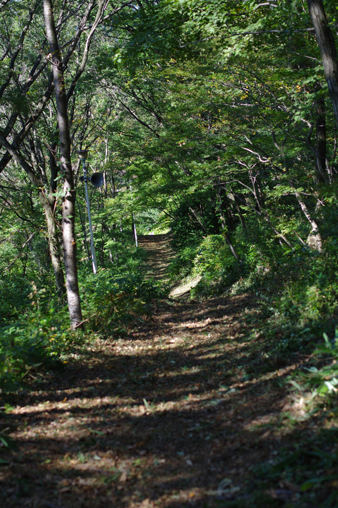 山道をさらに進む