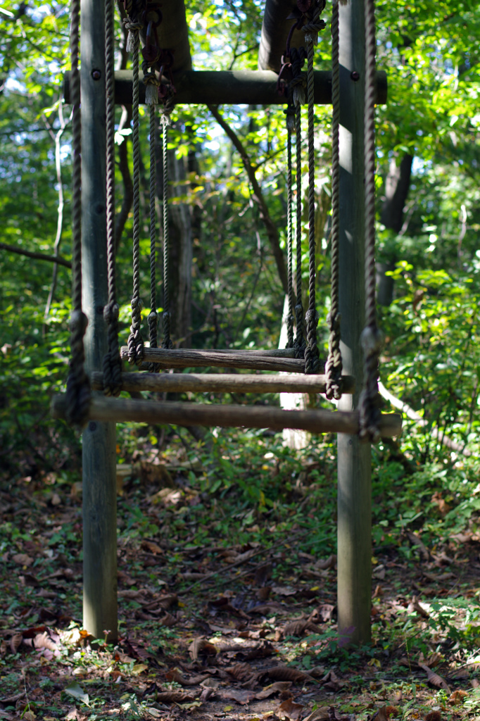 遊ぶのが恐いアスレチック