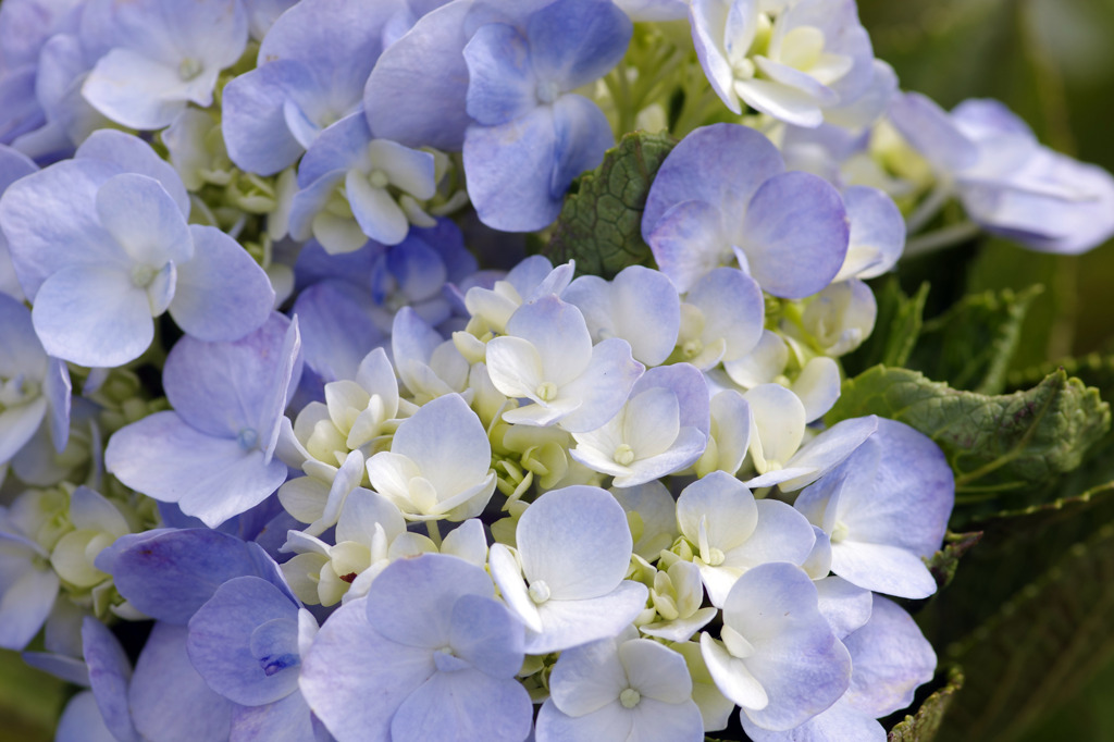 あとひと頑張り