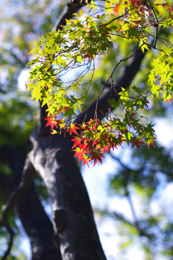 こっちへおいで～
