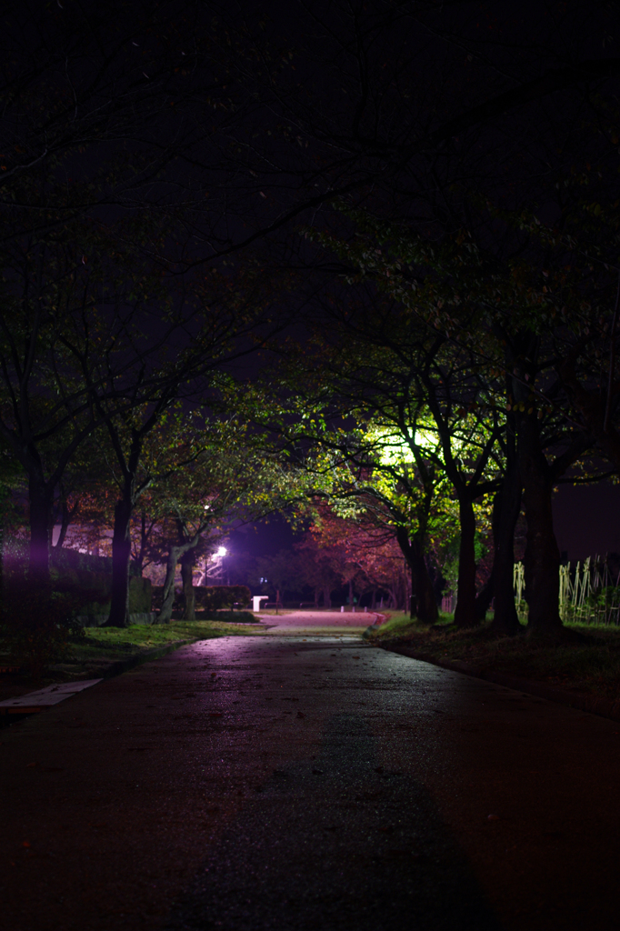 自分の影に気付かずorz