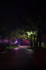 自分の影に気付かずorz