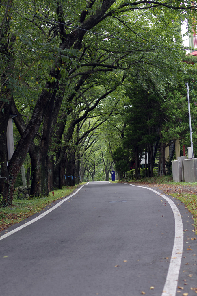 ここへようこそ