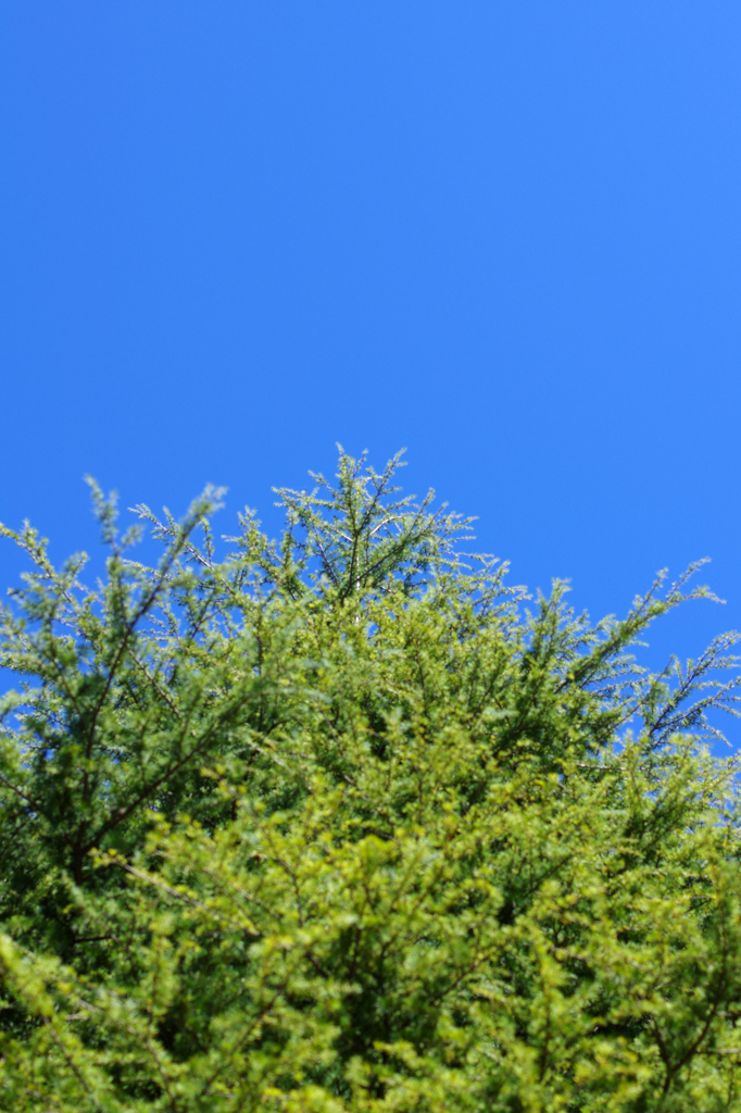 ブルー&グリーン