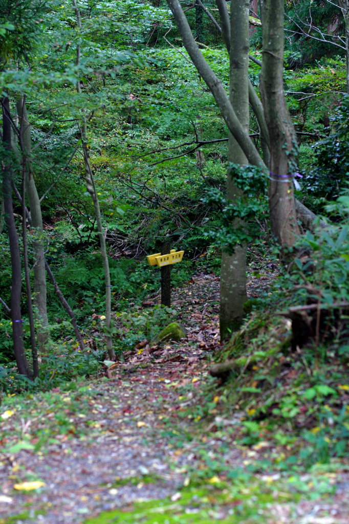 ホッとする看板