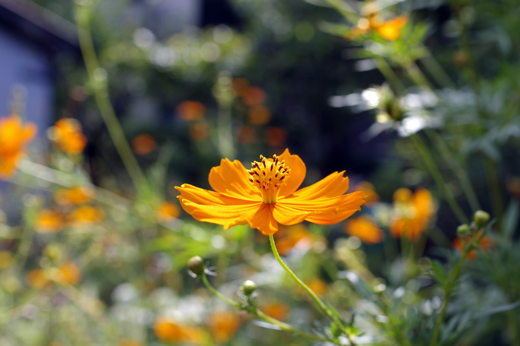 心地よい風に揺られて