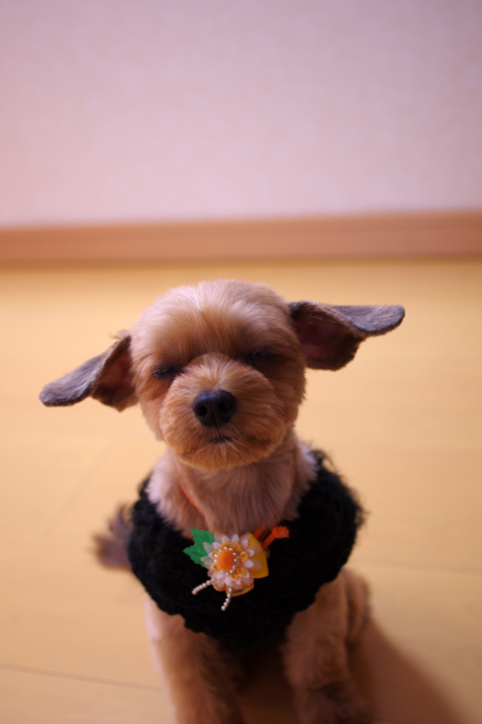 眠いから早くー