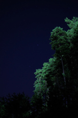 夜空を見上げて
