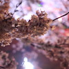 IMG_6594
